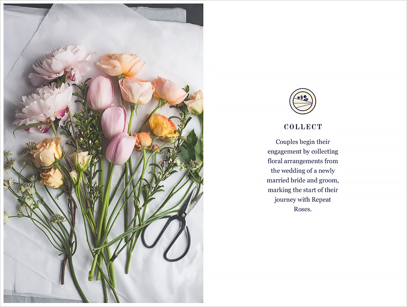 repeat roses identity and brand by jolly edition